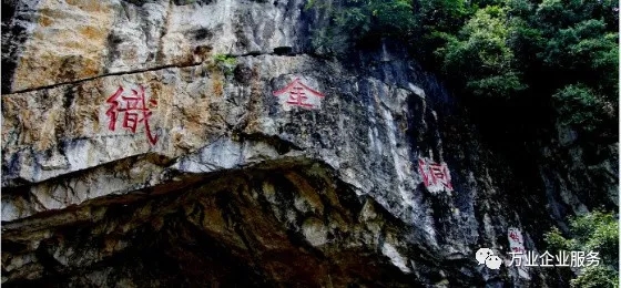 1531277011160447.jpg